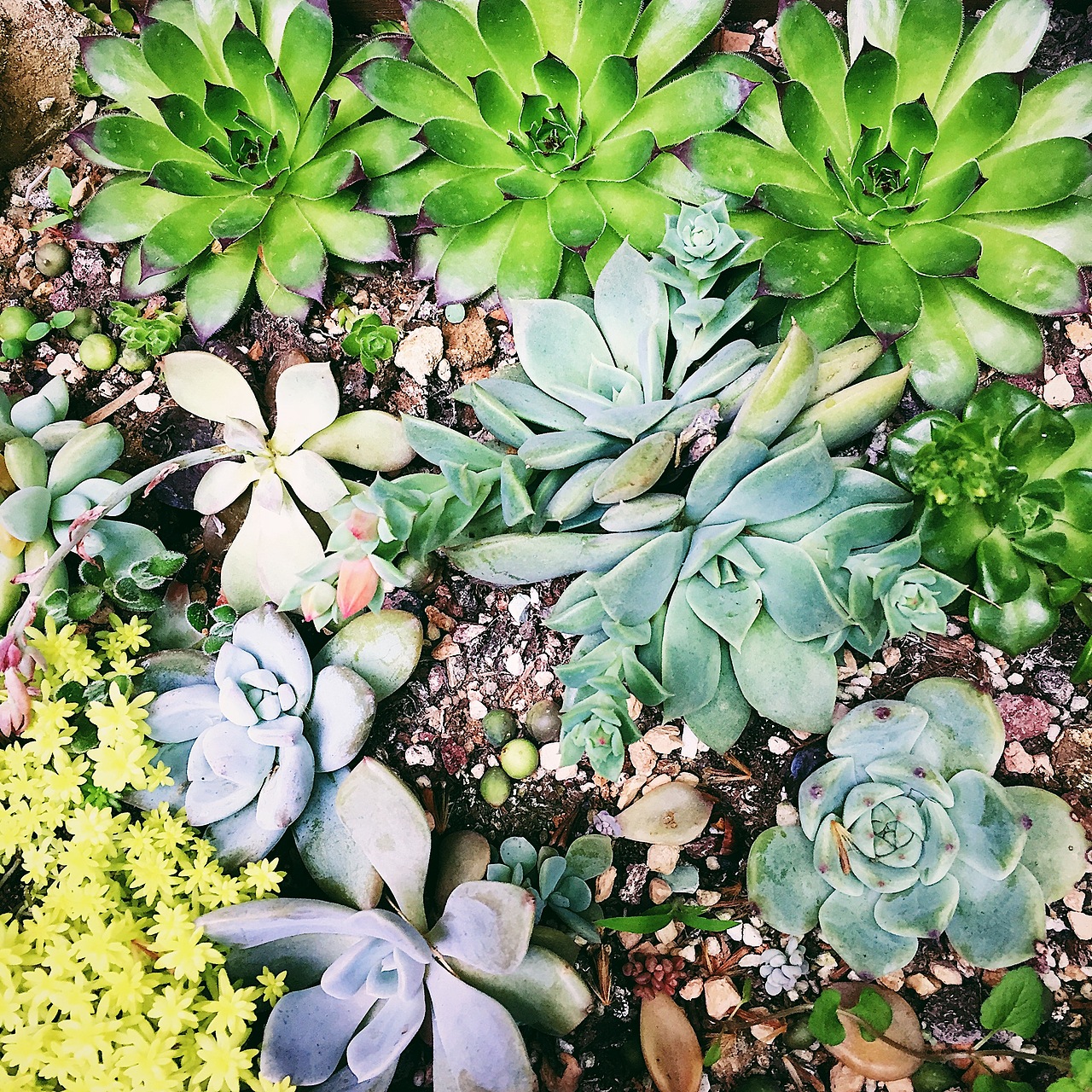 小景（图ZNzkyMzgwMjA=） - 人文/纪实摄影 - 站酷设计师伊人143原创素材 - 站酷ZCOOL