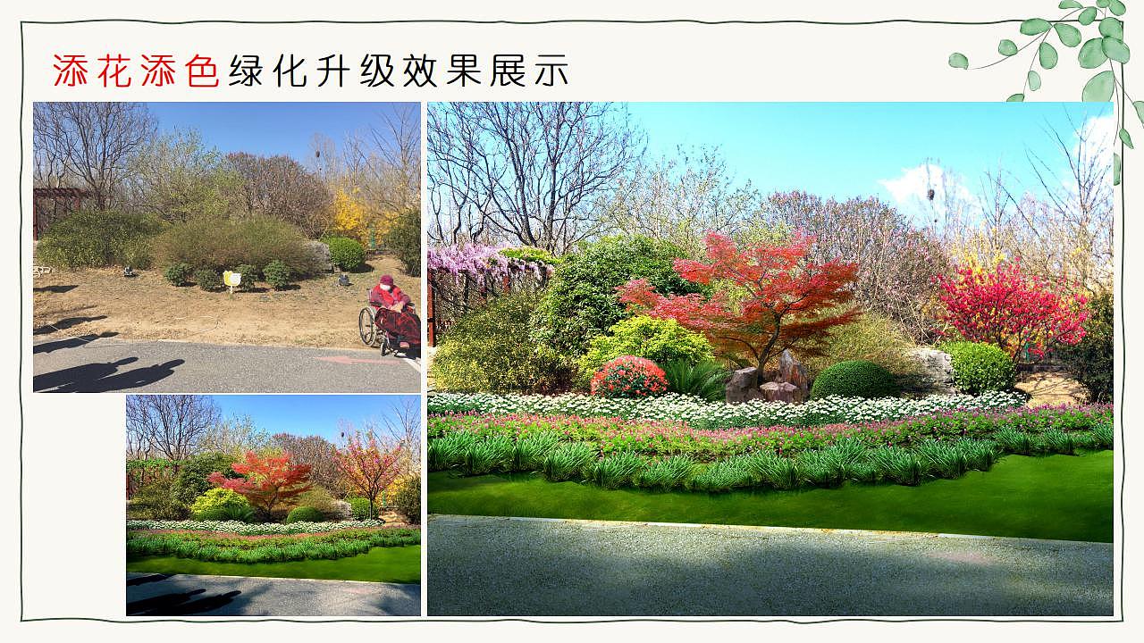 养老院绿化提升