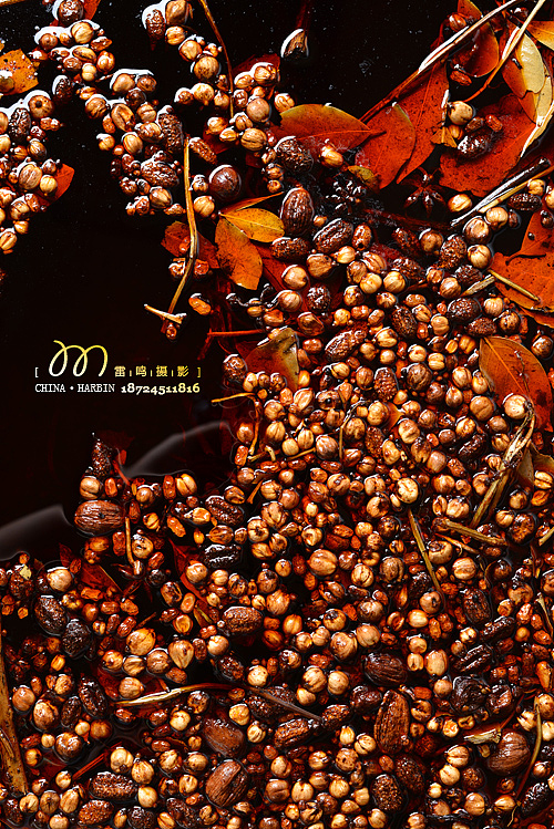 老上号——哈尔滨雷鸣摄影 商业 美食 产品 环境 广告人像摄影