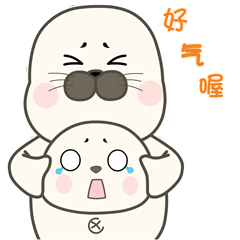 Hello豹豹第二幕