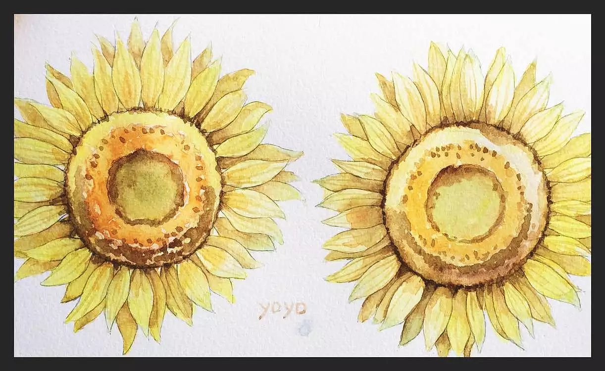 2016年水彩作品（图ZMTA2NjQ1NTky） - 艺术插画 - 站酷设计师有柚子原创素材 - 站酷ZCOOL