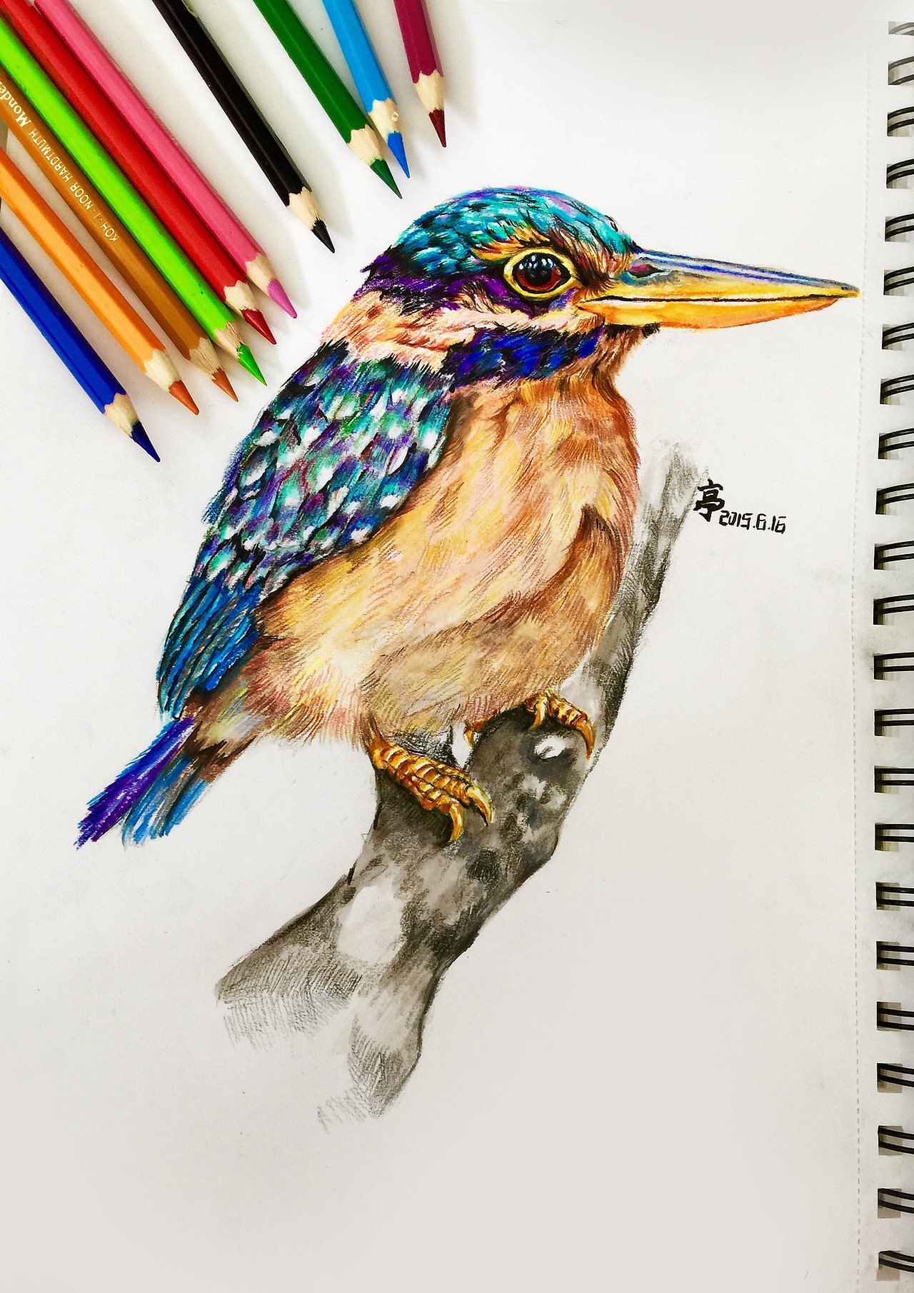 彩铅鸟|纯艺术|绘画|粉沫亭亭_原创作品-站酷zcool