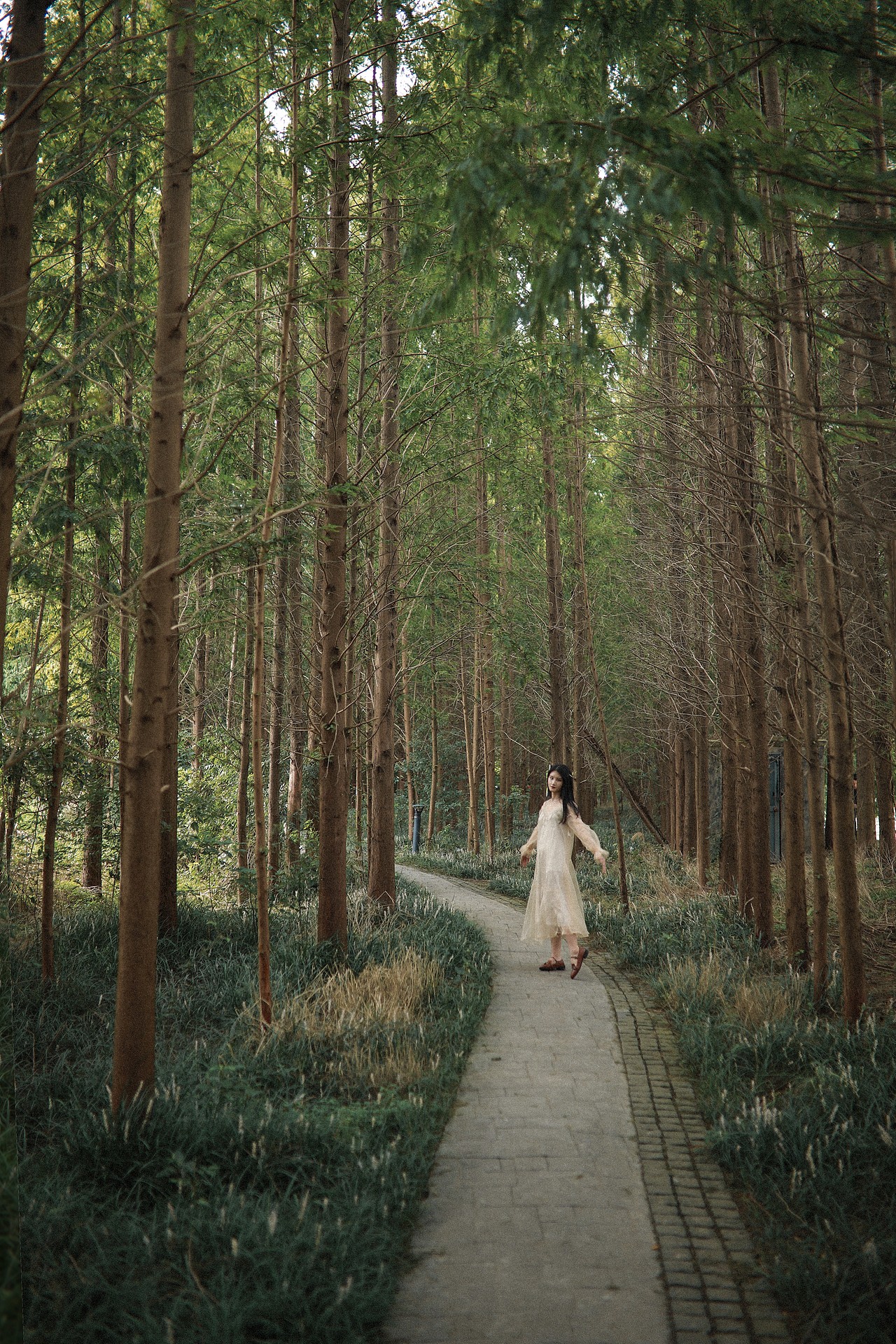 #一尺花园·秋（图ZMjQzOTE5MjI0） - 人像摄影 - 站酷设计师一月成玦原创素材 - 站酷ZCOOL