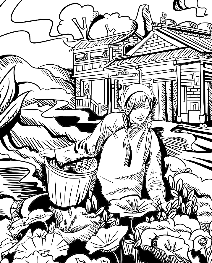 黑白风茶叶包装插画