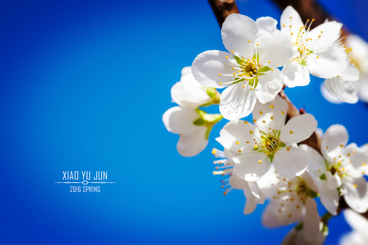 【20140403】没事走两步