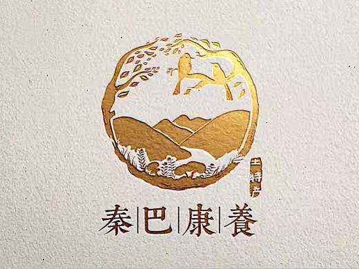 秦巴康养LOGO设计——金与彥设计