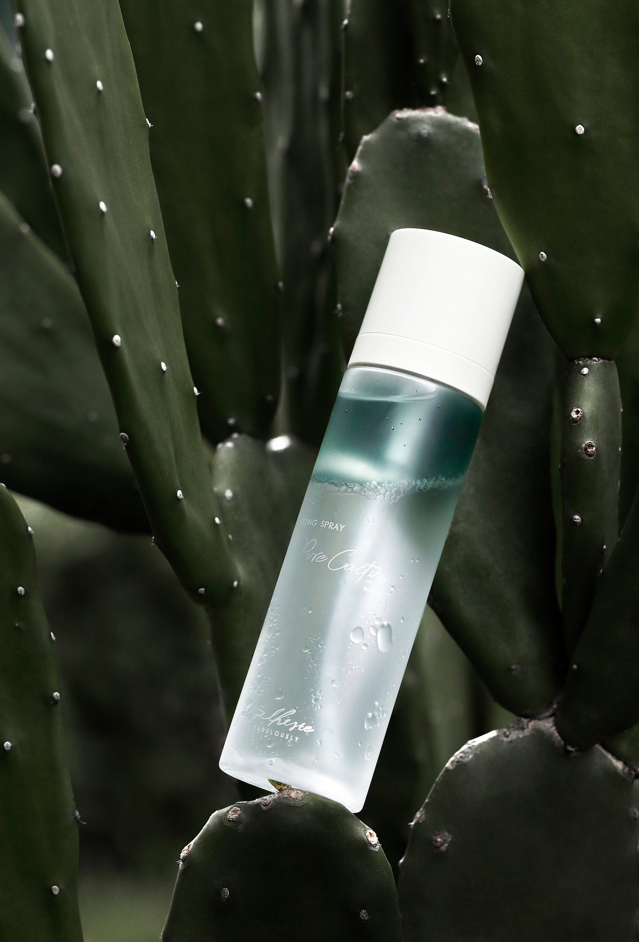 仙人掌保湿精华水（图ZMjIxNTkzMjM2） - 产品摄影 - 站酷设计师易一c原创素材 - 站酷ZCOOL