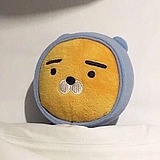 苏菲亚的熊的头像