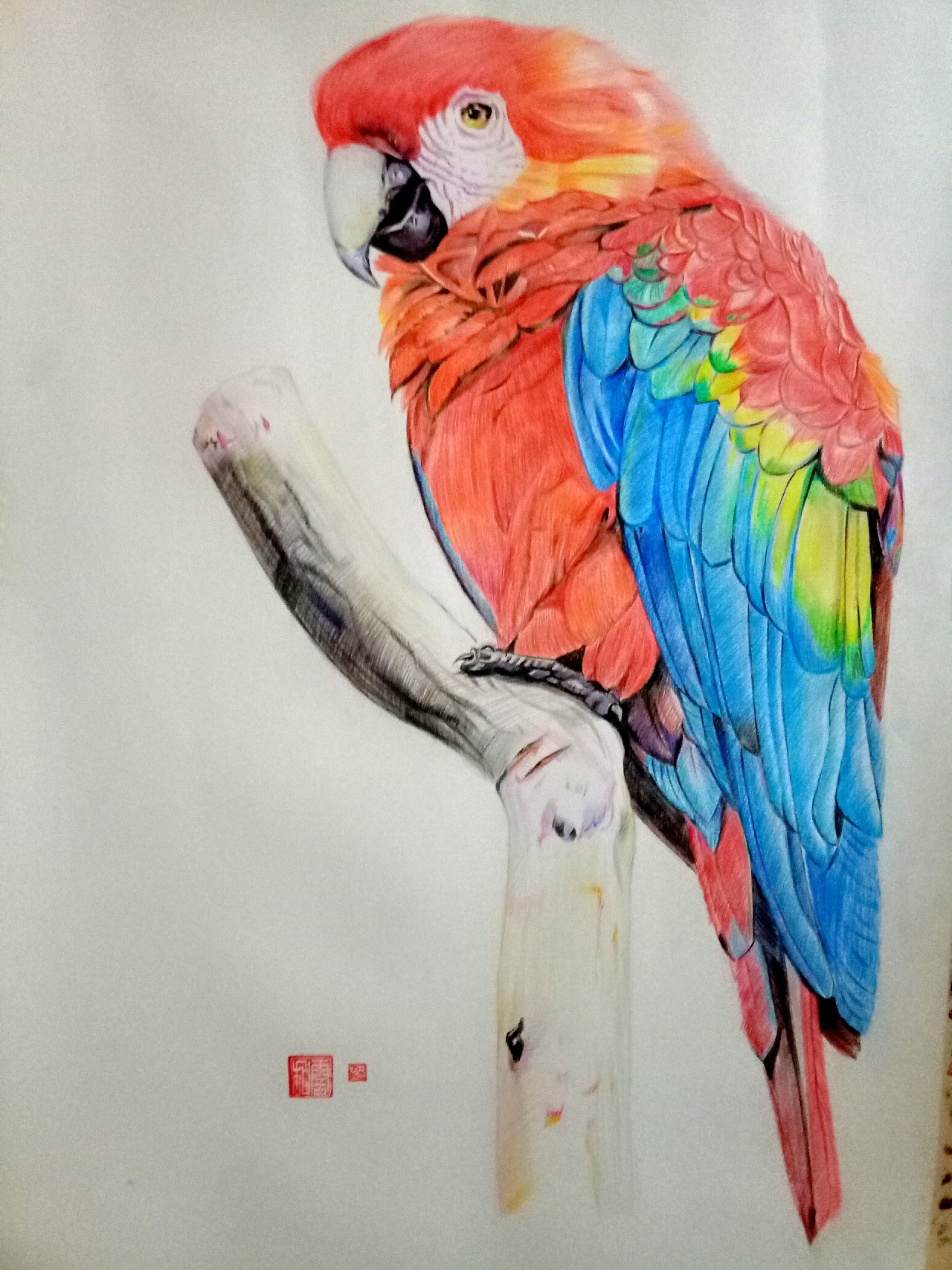 画个鸟|纯艺术|彩铅|阿拉灯神丁2015 - 原创作品 - 站酷 (ZCOOL)