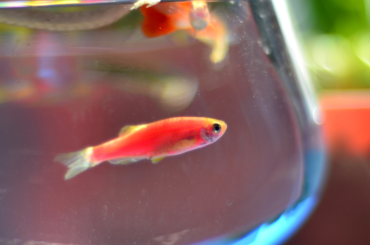 隨手小拍（圖ZMTU1NjgyMTAw） - 產(chǎn)品攝影 - 站酷設(shè)計師心尚善原創(chuàng)素材 - 站酷ZCOOL