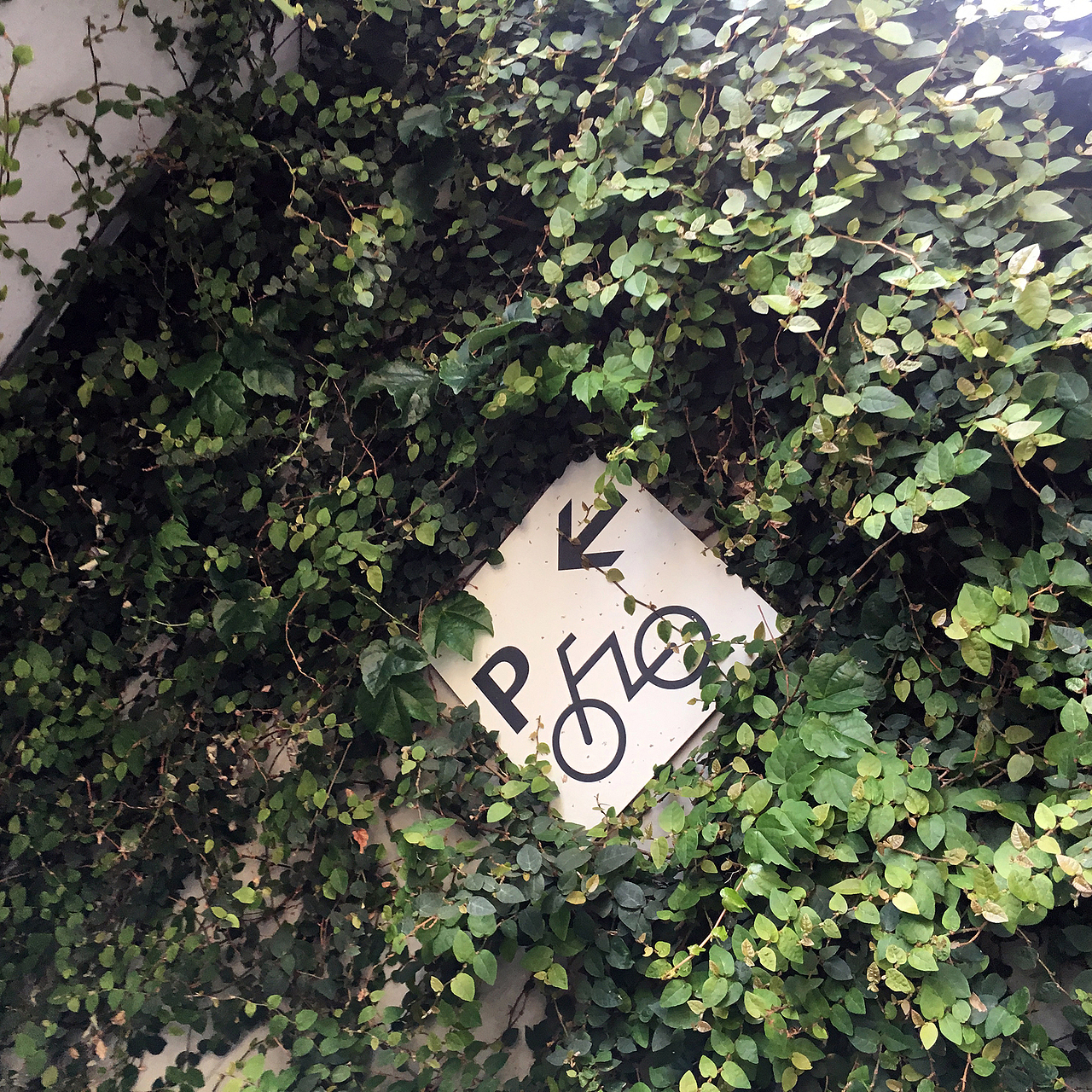 赴日本看各种艺术展览！！！（图ZMTIwNTE0Mjc2） - 人文/纪实摄影 - 站酷设计师simv原创素材 - 站酷ZCOOL