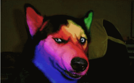 一头小毛驴101的个人主页（背景预览） - 主页背景设置 - 站酷设计师一头小毛驴101原创素材 - 站酷ZCOOL