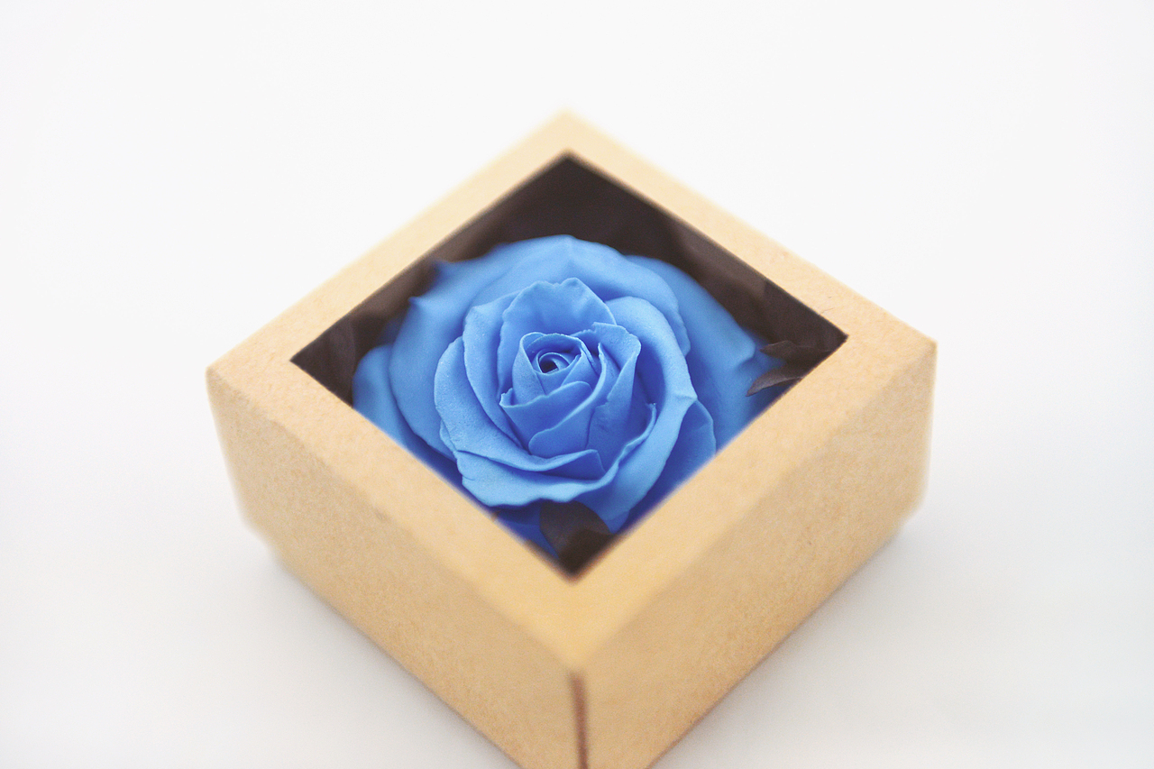 超轻粘土——玫瑰花