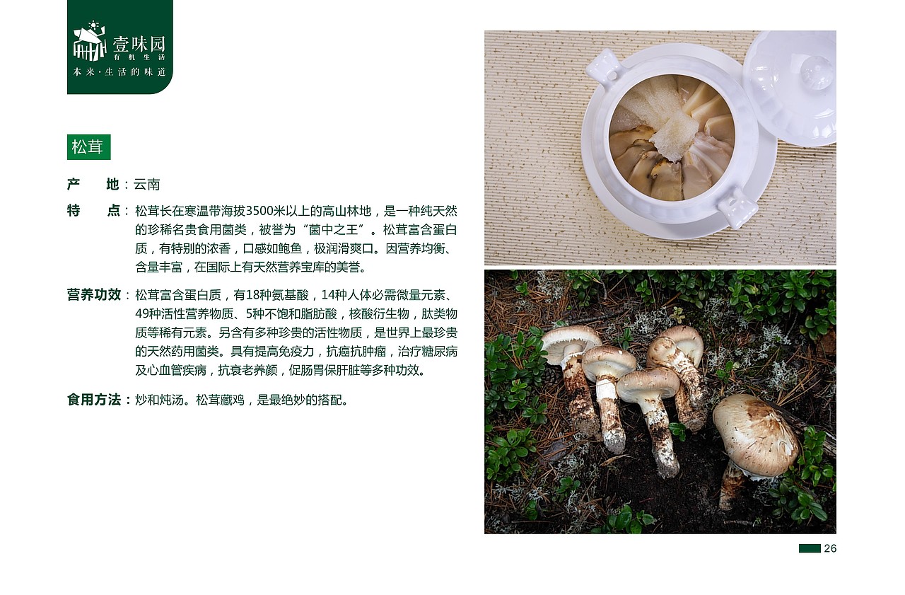 一本绿色食品的电子画册，不足之处欢迎指教。（图ZMjc0NjczMzY=） - 书籍/画册 - 站酷设计师wangtong20原创素材 - 站酷ZCOOL