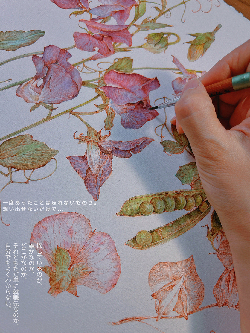 蘸水笔针管笔｜三种豆花科普（图ZMzY5Mzc3NDg0） - 艺术插画 - 站酷设计师CatCastleDZ原创素材 - 站酷ZCOOL