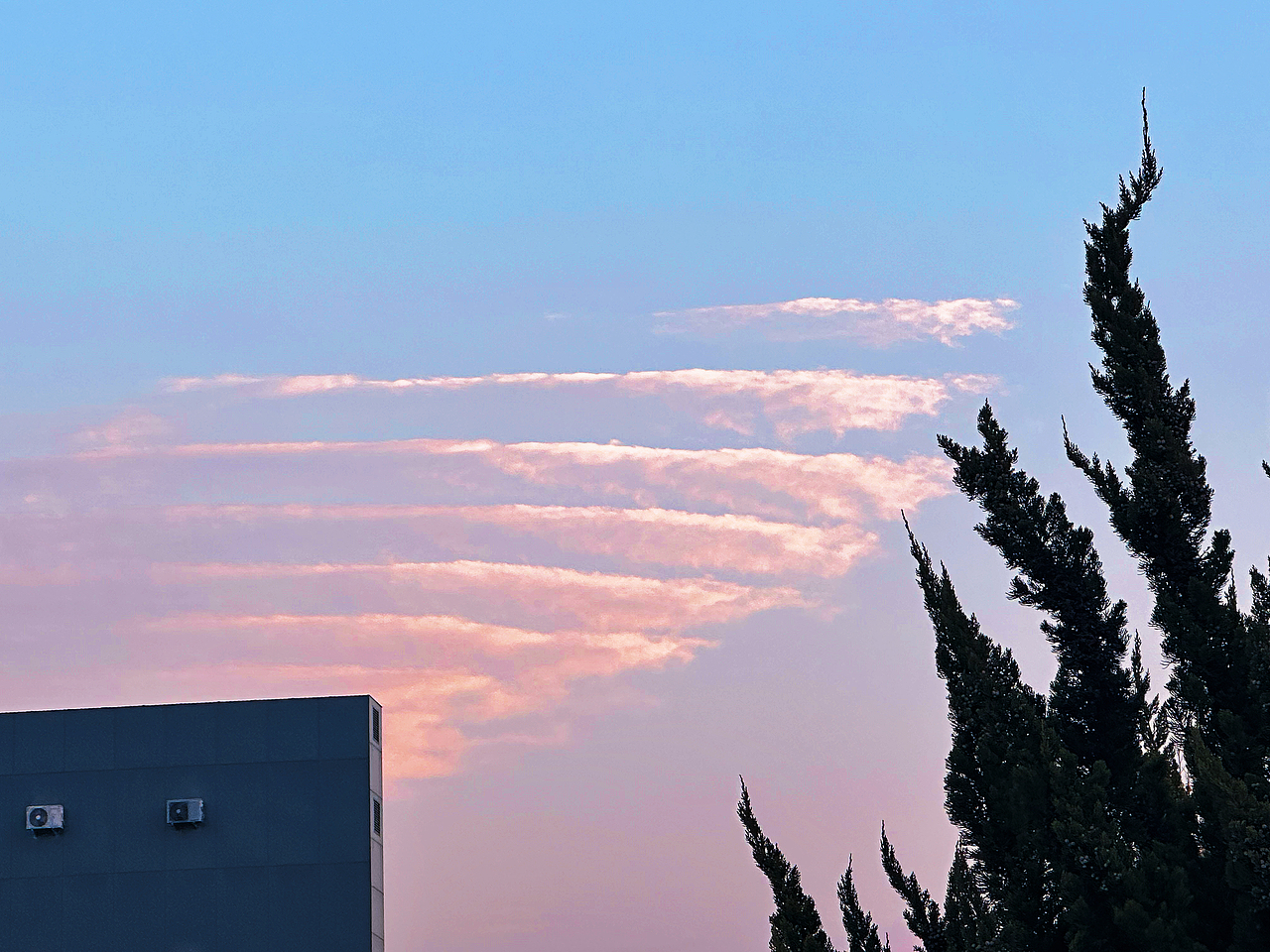 同望一片天空,为何好久不见