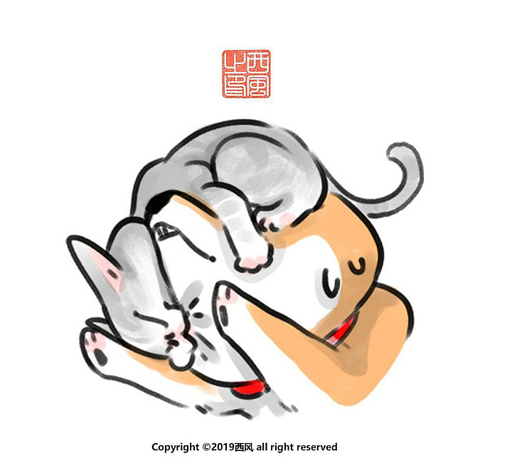 阿柴枸杞 猫狗相亲篇