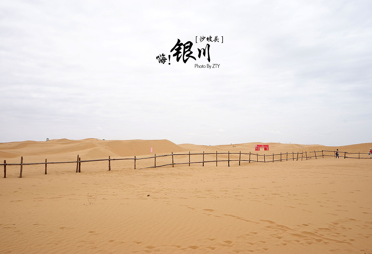 旅行~银川~和好友五年未见。