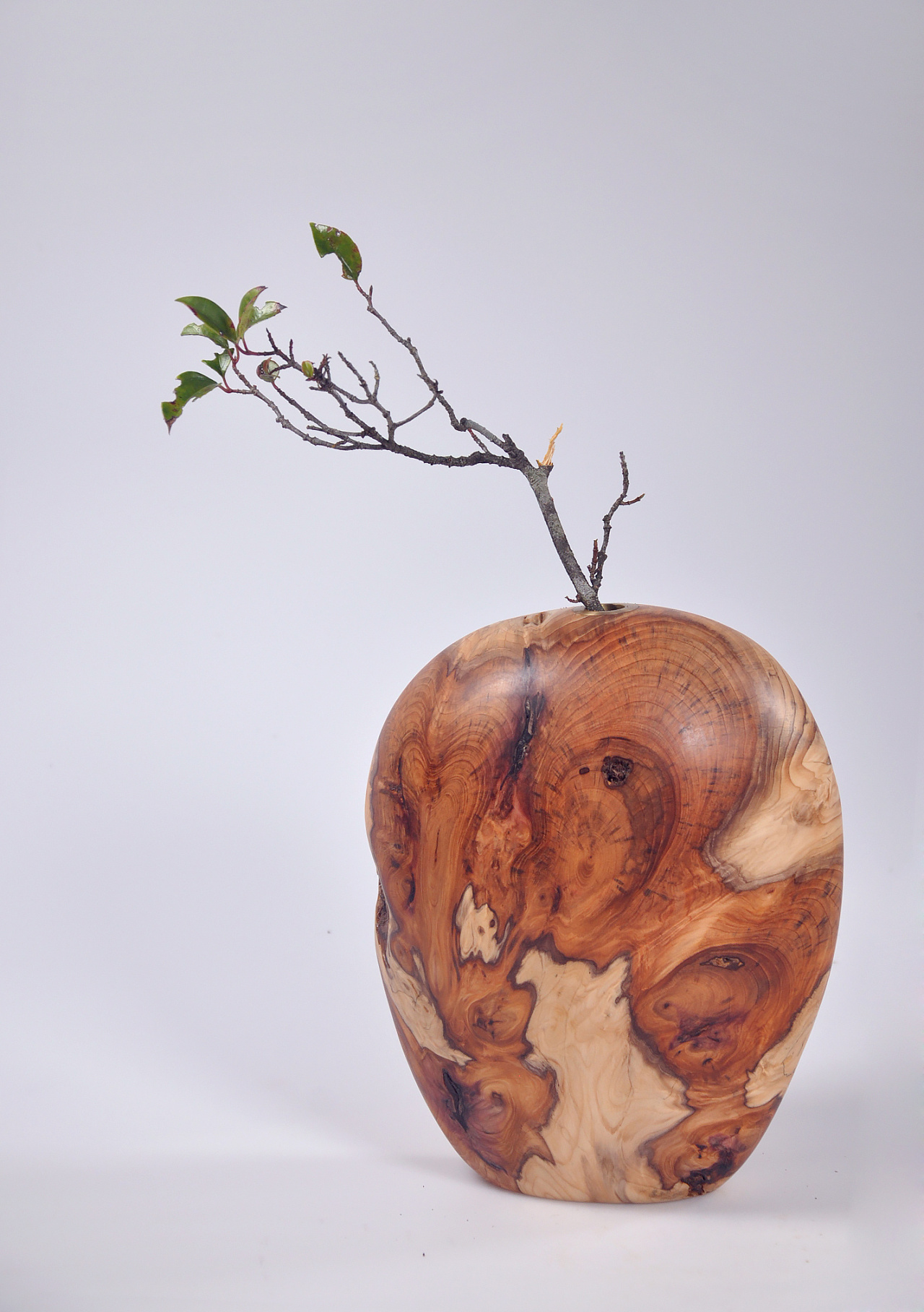 【在外木艺】手作木根花器|手工艺|其他手工艺|在