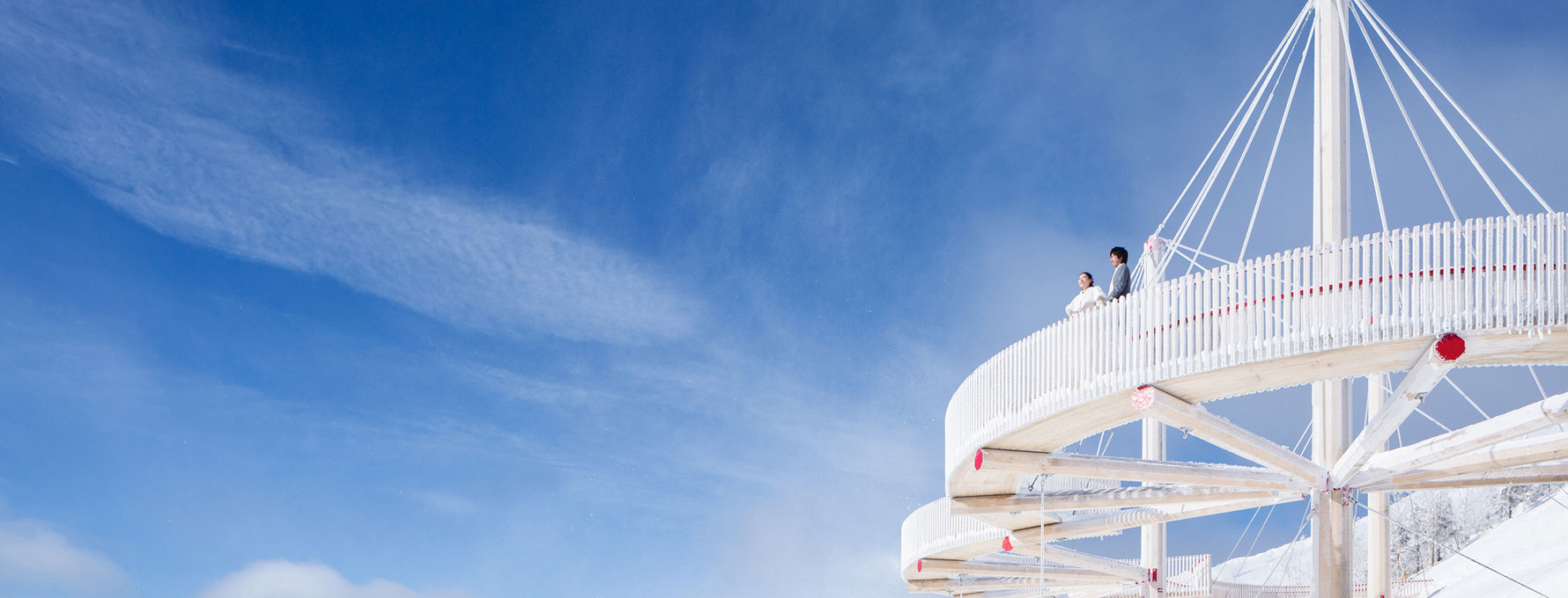 大牛的小卷心菜的个人主页（封面预览） - 主页封面设置 - 站酷设计师大牛的小卷心菜原创素材 - 站酷ZCOOL