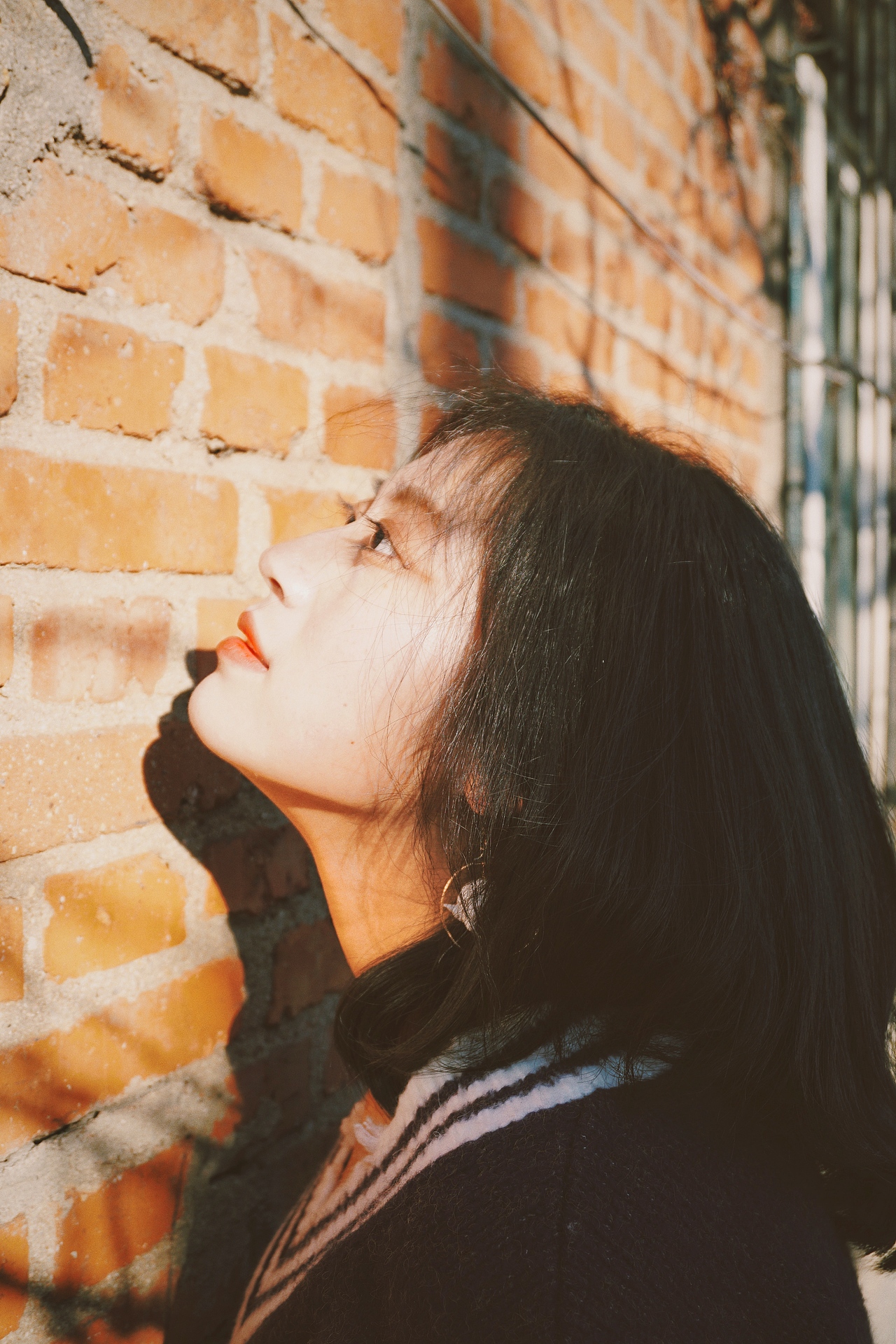 柿子夕阳里的她