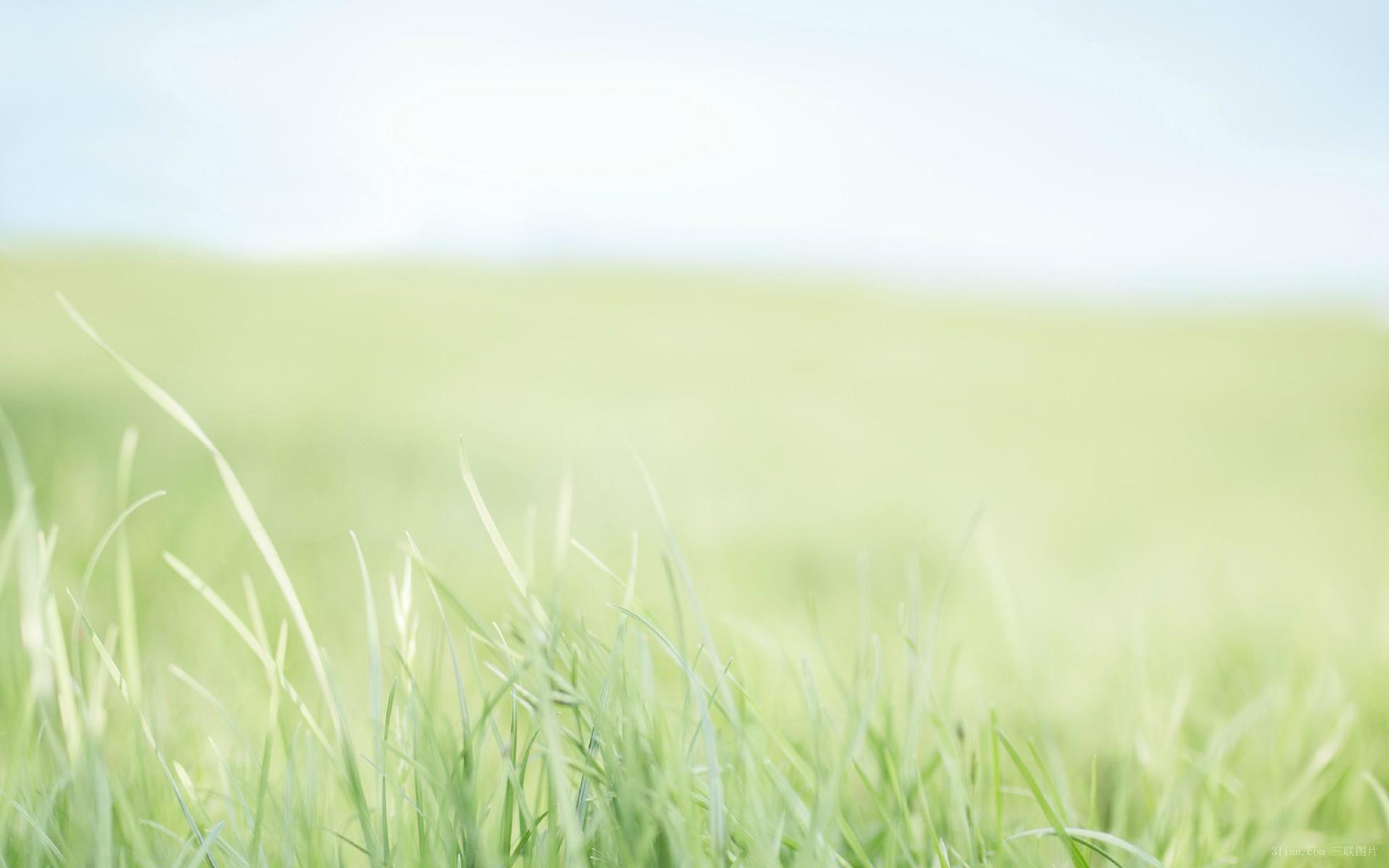 小小O欧的个人主页（背景预览） - 主页背景设置 - 站酷设计师小小O欧原创素材 - 站酷ZCOOL