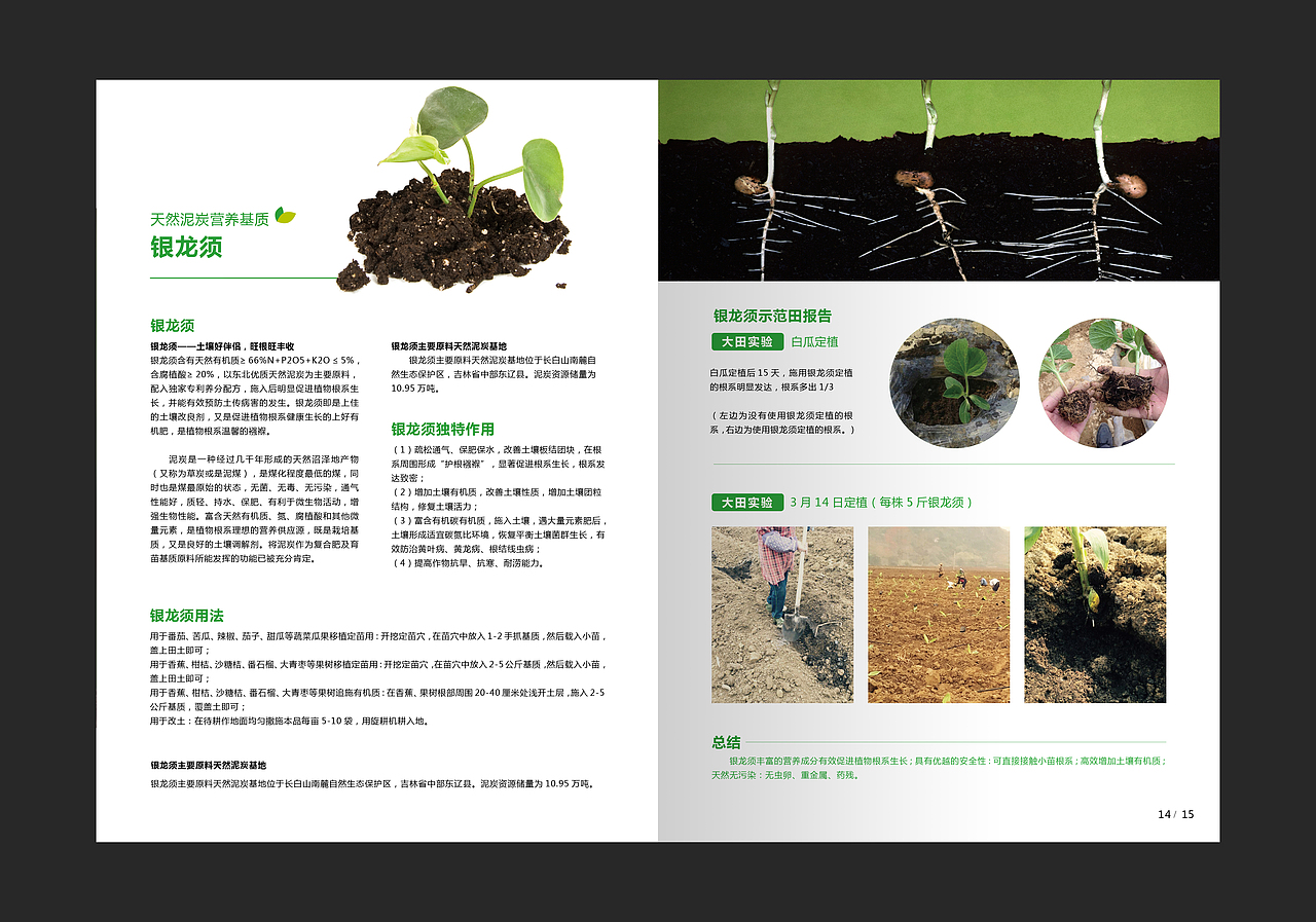 “新育丰”画册 网页设计