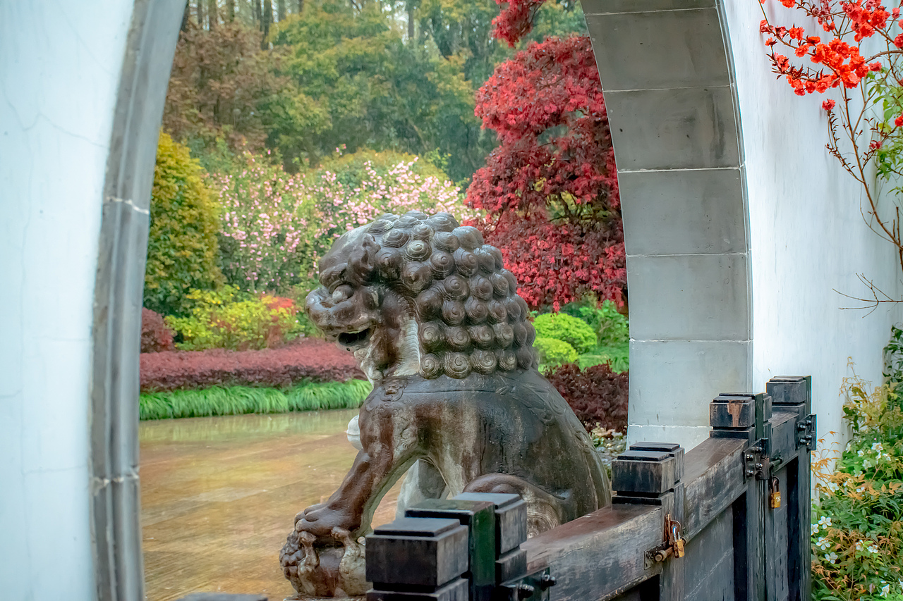 疫情下的植物园