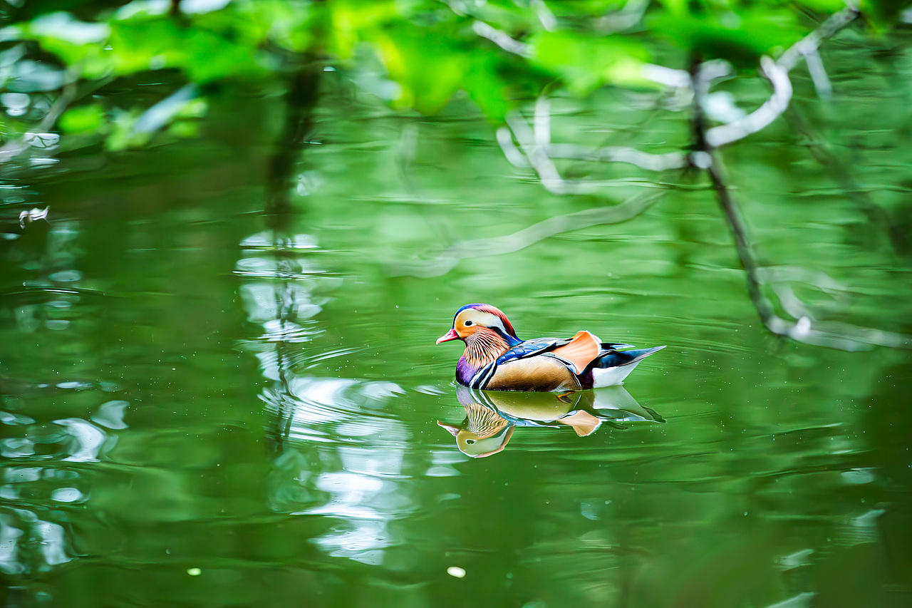 北京随拍（图ZMzUyNDA2NzUy） - 风光摄影 - 站酷设计师多宝力哥原创素材 - 站酷ZCOOL