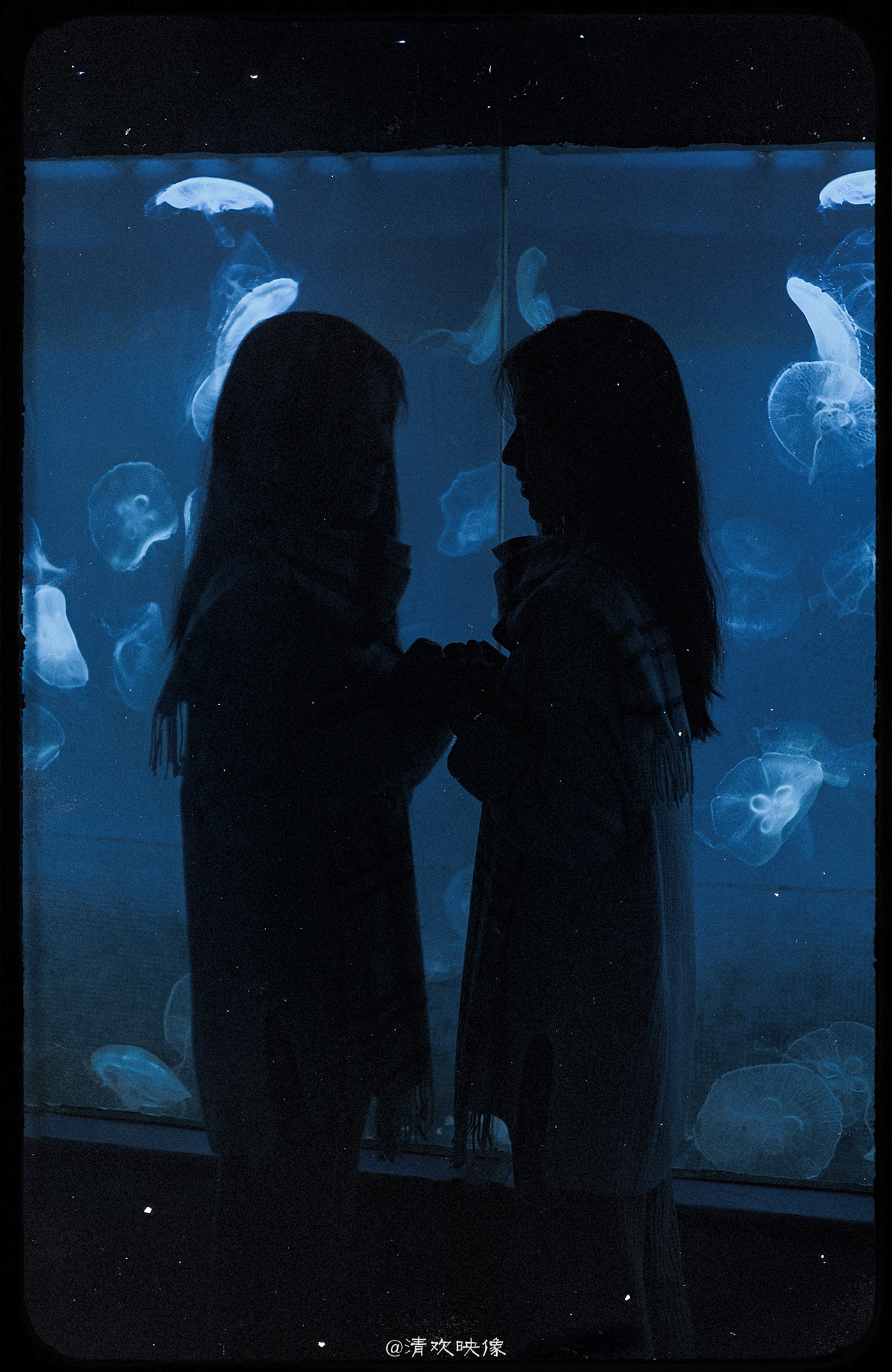 你是鱼儿水中游