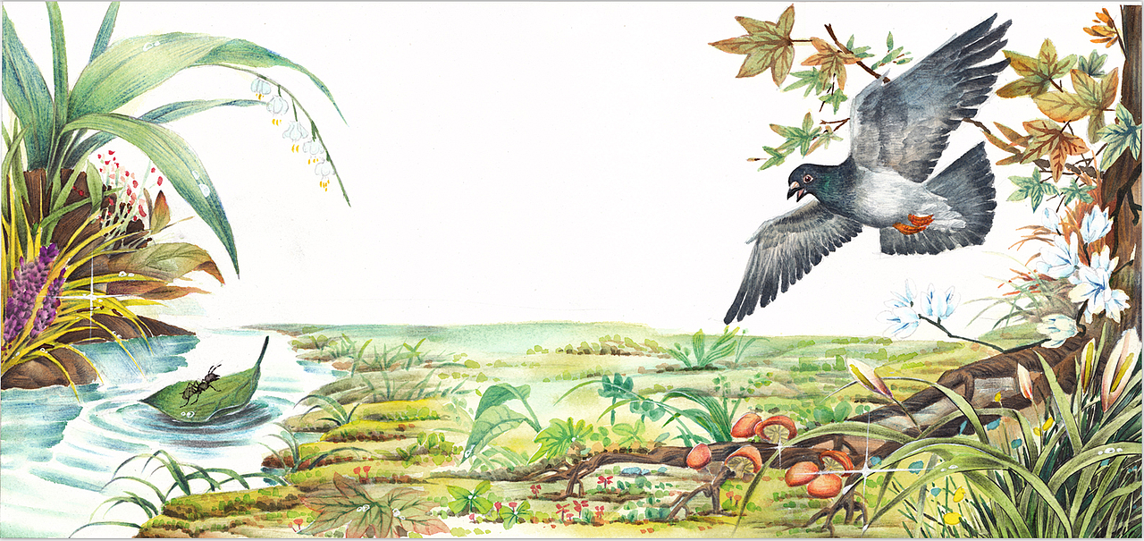 儿童科普类 教育类 上色插图（图ZMTQ0MzcwMjU2） - 儿童插画 - 站酷设计师上超工作室原创素材 - 站酷ZCOOL