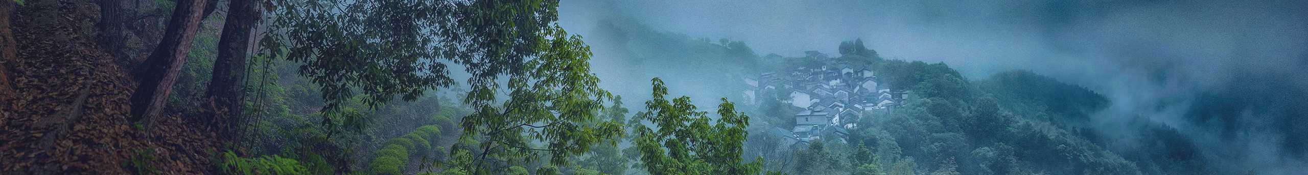 kld固显的个人主页（封面预览） - 主页封面设置 - 站酷设计师kld固显原创素材 - 站酷ZCOOL