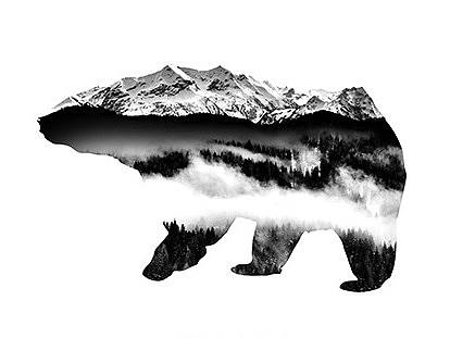 哈尔斯保温杯系列 - 动物与自然