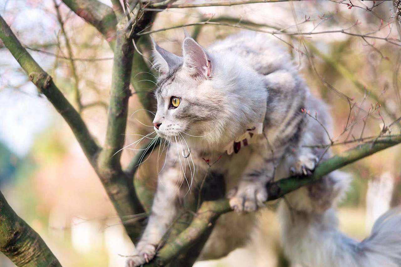 家有小调皮~~~~~