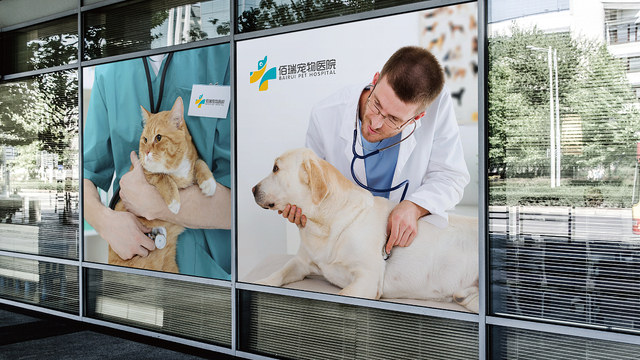 上海申普宠物_上海申康医院绩效考核_上海申生宠物医院