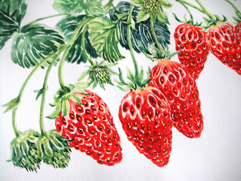 水彩《草莓》|插画|创作习作|火儿 - 原创作品 - 站酷 (zcool)