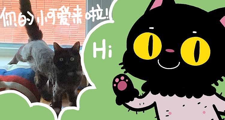 有家宠物——伊万表情包（图ZMTg3MzA2NzA4） - IP形象 - 站酷设计师Bingo小鬼原创素材 - 站酷ZCOOL