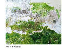 墙上