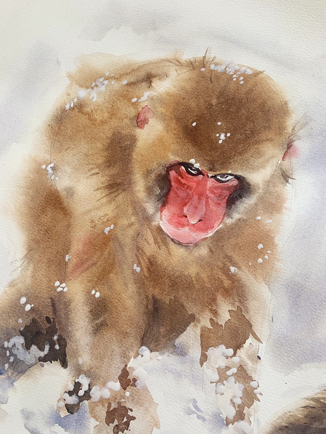 水彩 团雪球的小猴子|纯艺术|绘画|arashi月芽_原创作品-站酷zcool