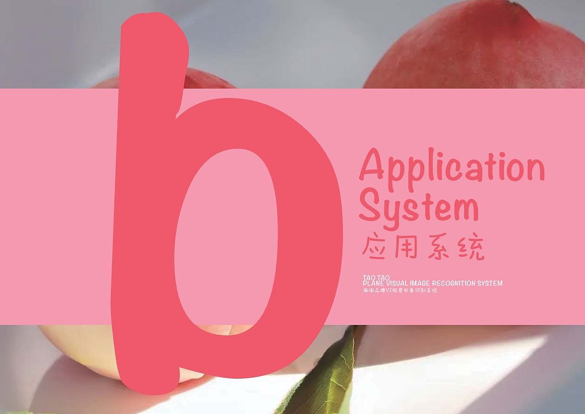 陶陶品牌VI设计