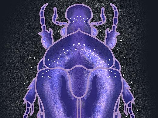 我也不知道是什么虫系列