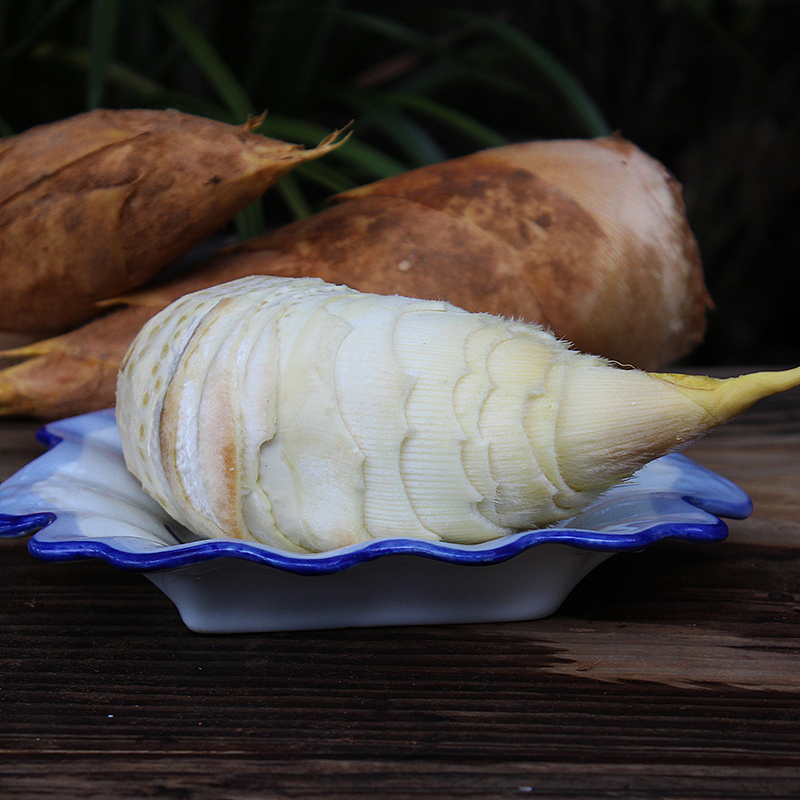 浔隐山|时令 新鲜冬笋 野生现挖黄泥拱 高山原生态鲜蔬