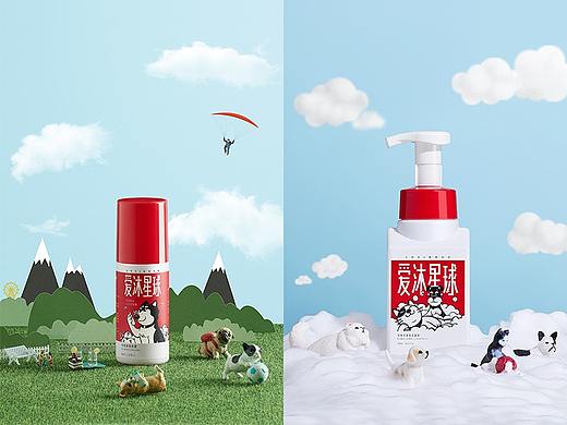 宠物の洗护产品 | 初橙 X 小象摄影ELEPHANT