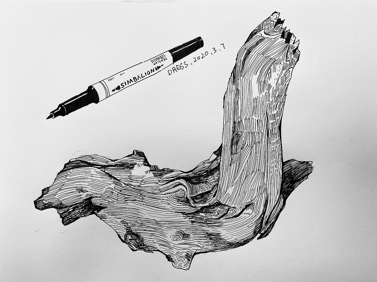 手绘 中性笔照片速写