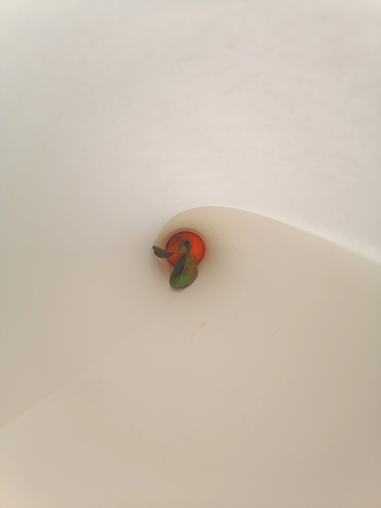 纸卷拍摄（图ZMjA4NjM5MTQw） - 人文/纪实摄影 - 站酷设计师进行史原创素材 - 站酷ZCOOL