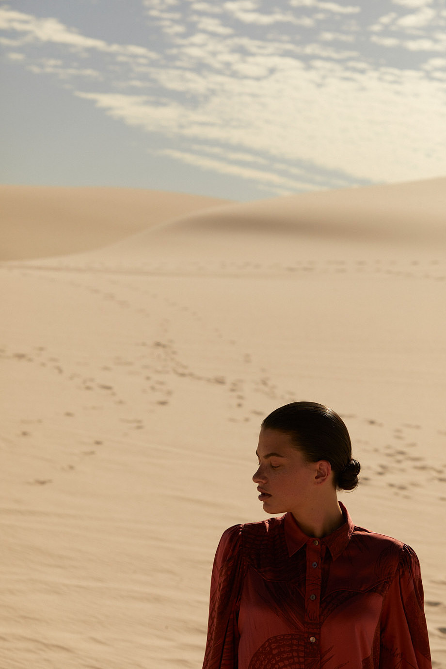 摄影参考Friendly Hunting