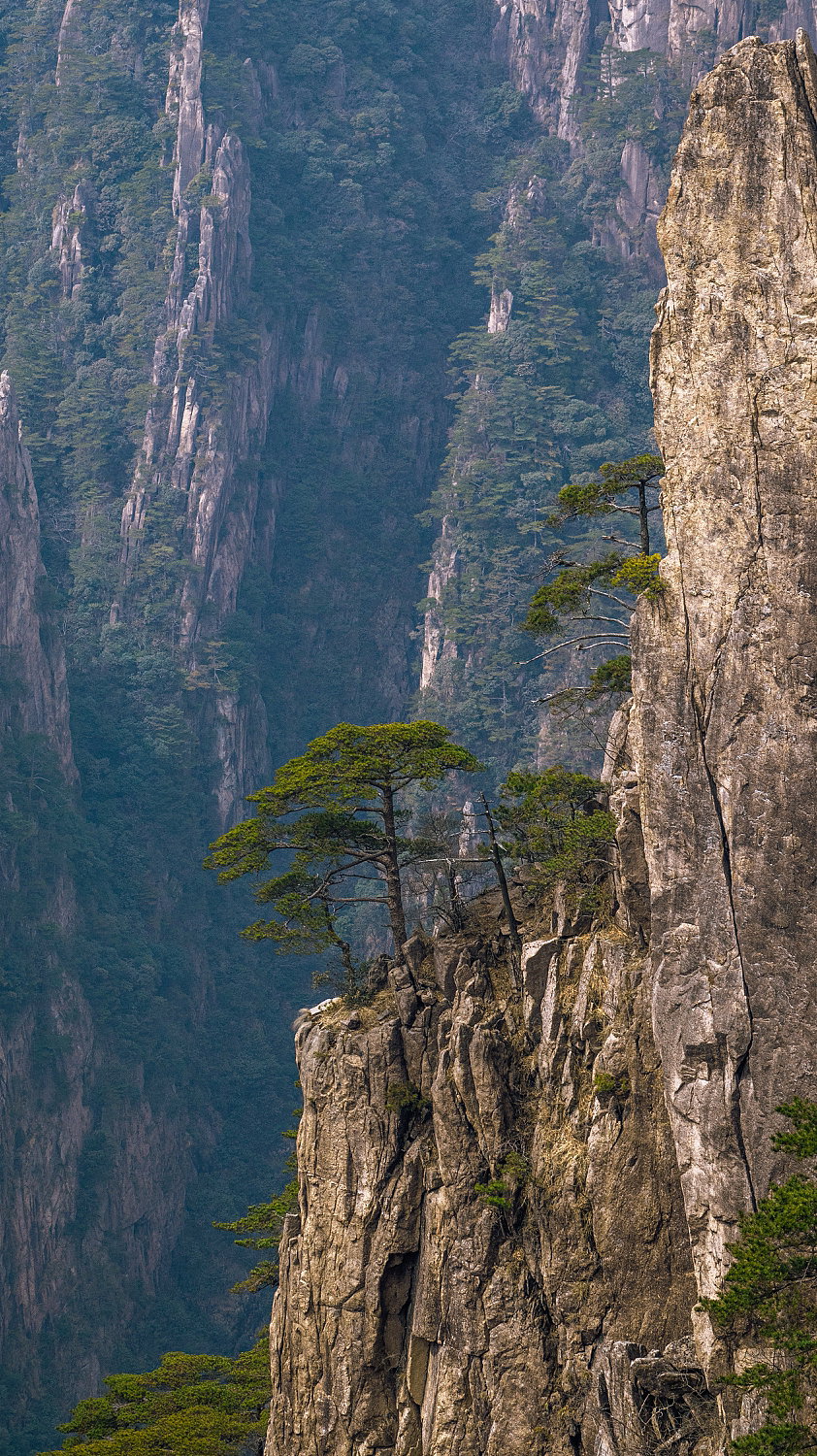 登黄山,天下无山