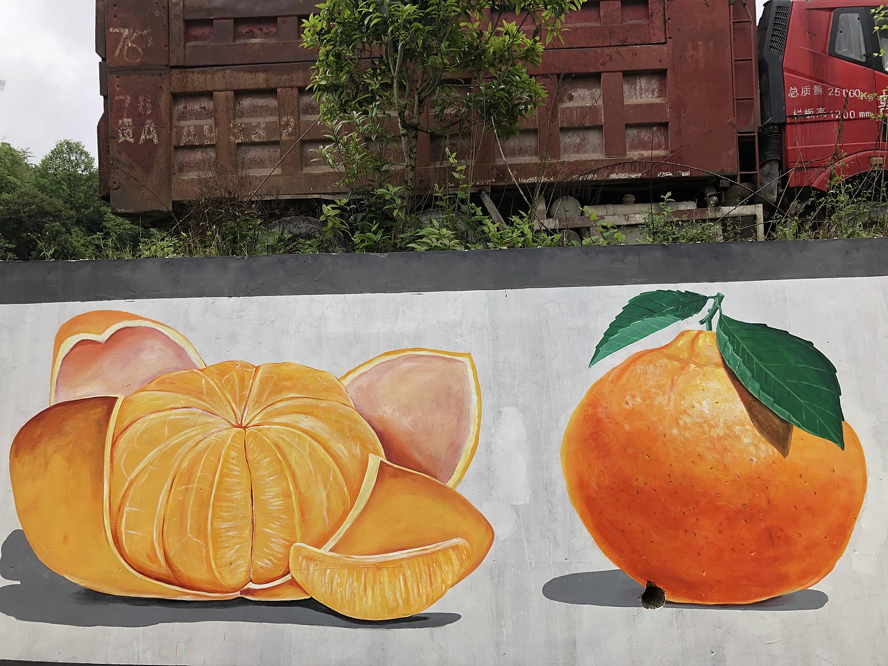 贵阳息烽温泉网红打卡点草莓果园文化手绘墙_壁尚手绘贵州墙绘-站酷