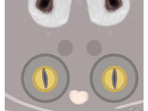 猫猫一张授权500
