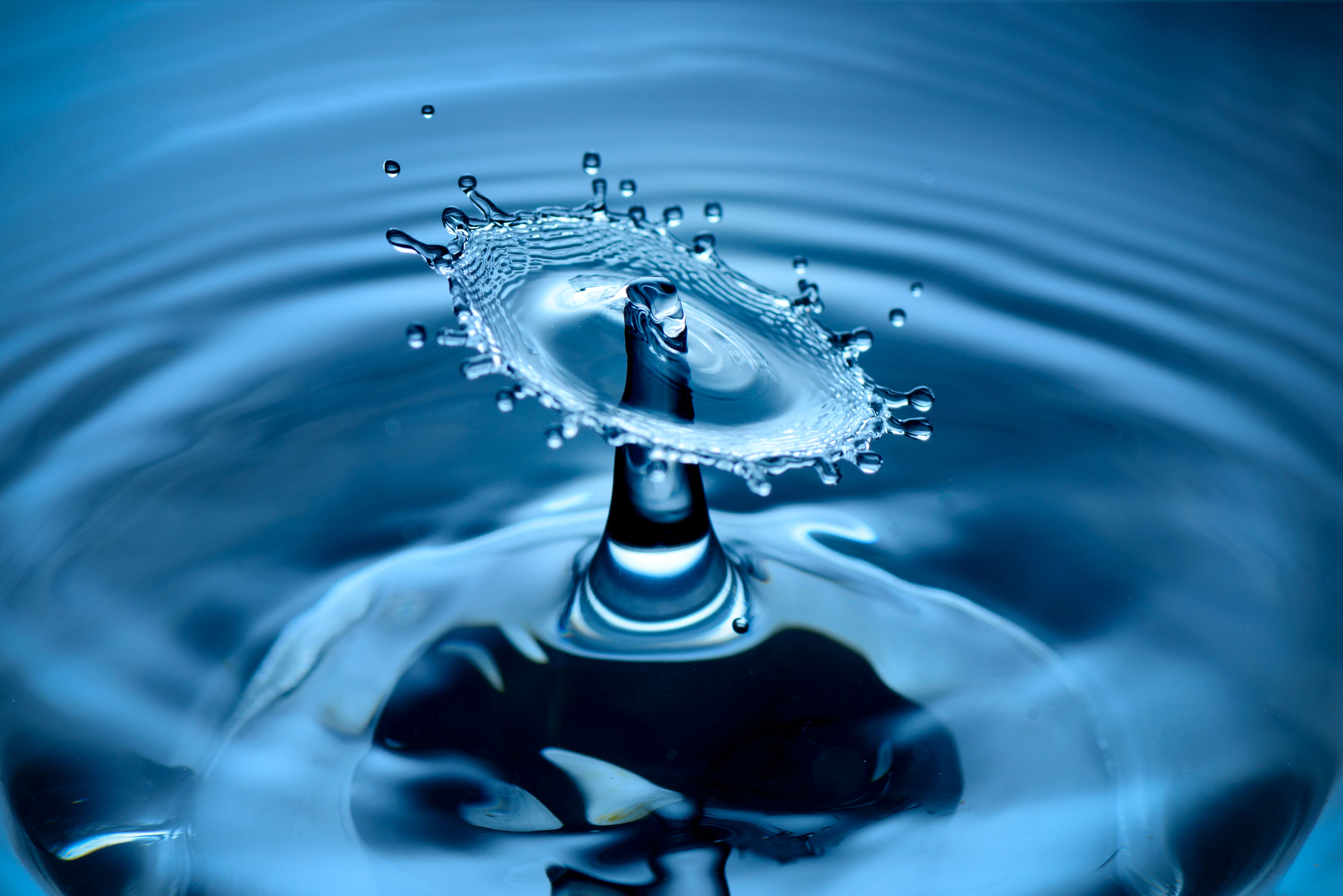 水滴 雨 蓝色的 - 免费矢量图形Pixabay